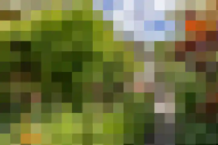 de Rippert 34 Holwierde thumbnail 73