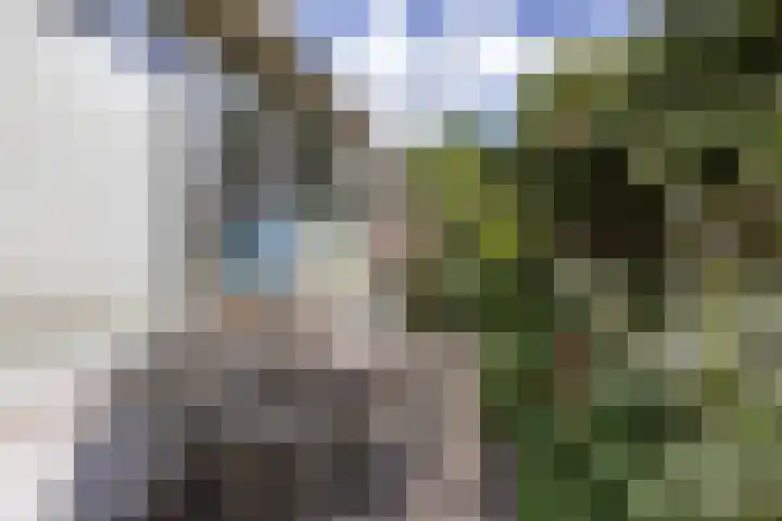 de Rippert 34 Holwierde thumbnail 74