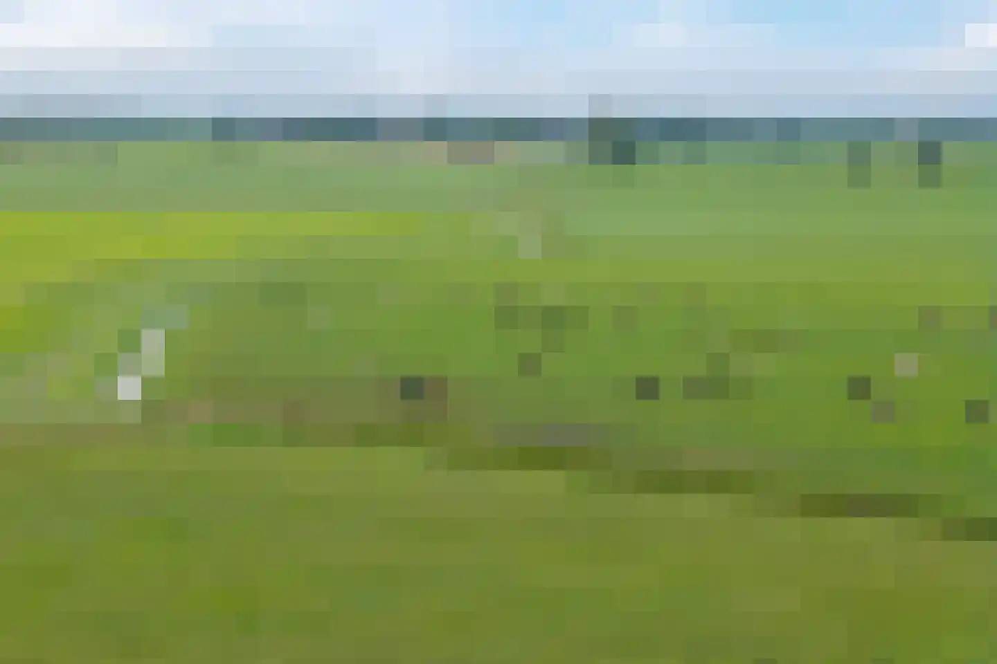 de Rippert 46 Holwierde thumbnail 12