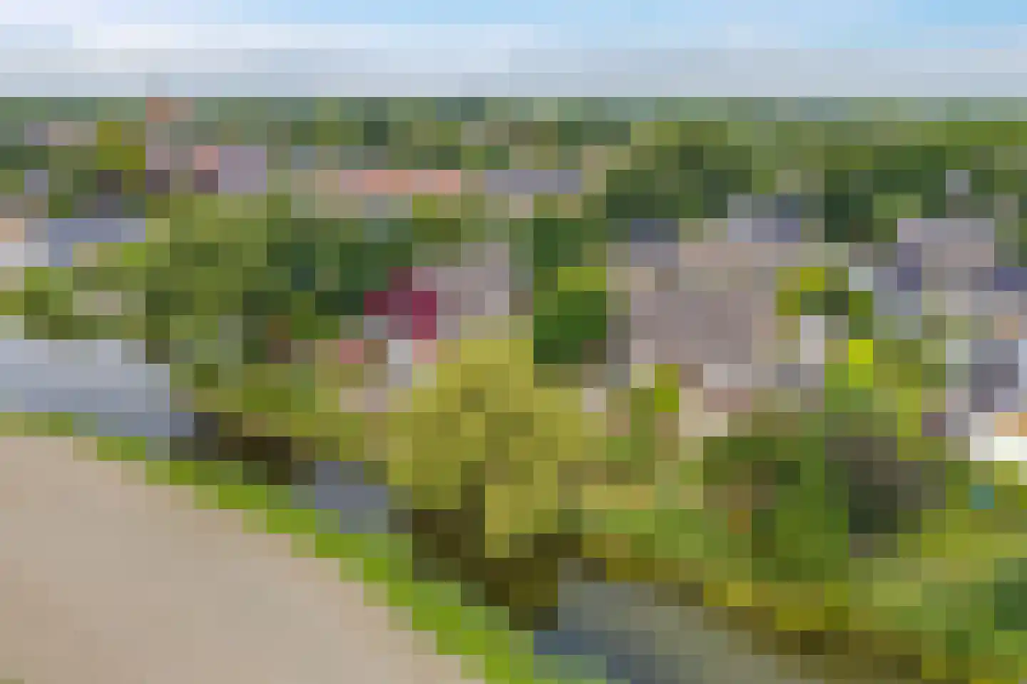 de Rippert 46 Holwierde thumbnail 14