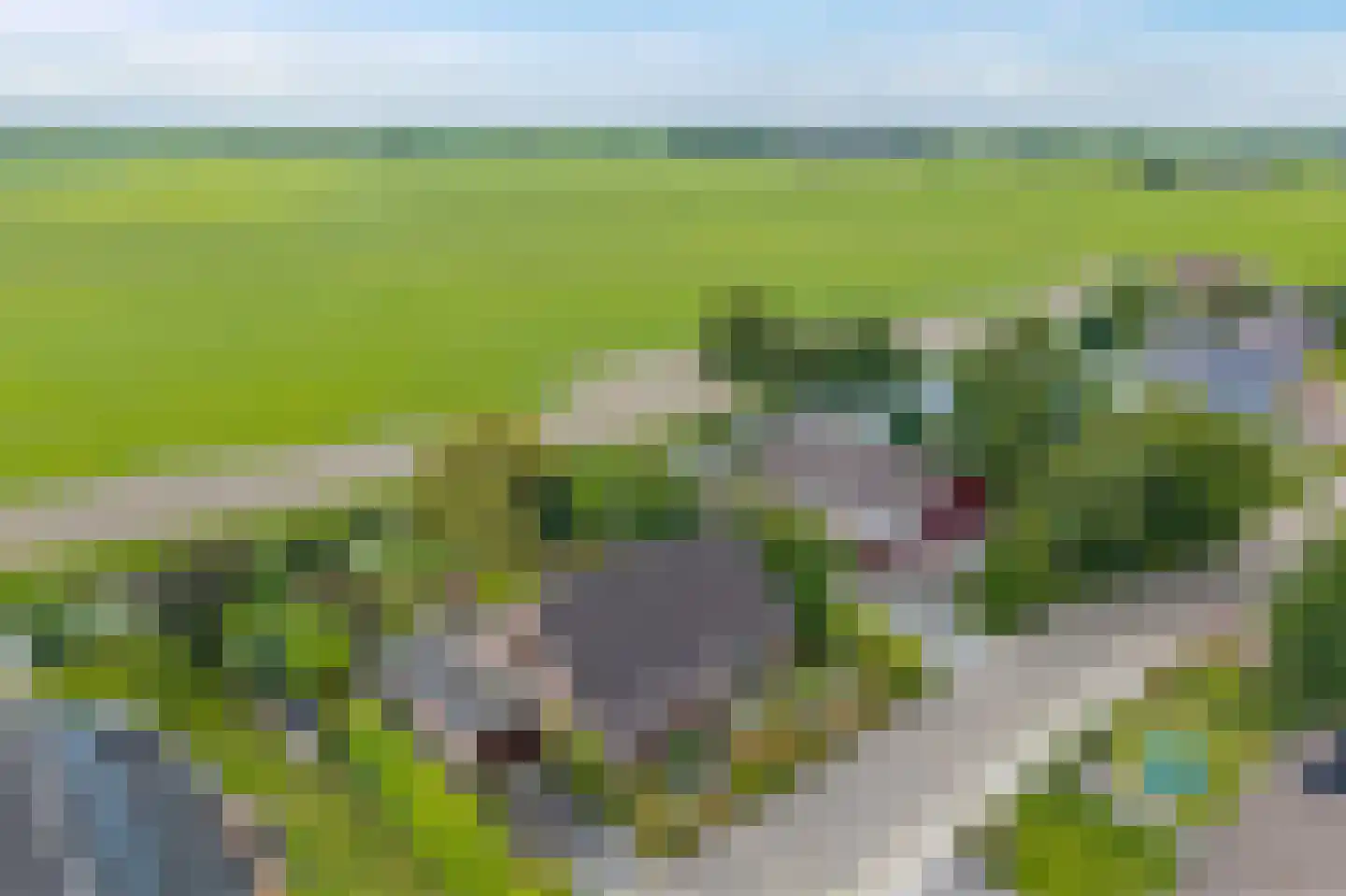 de Rippert 46 Holwierde thumbnail 15