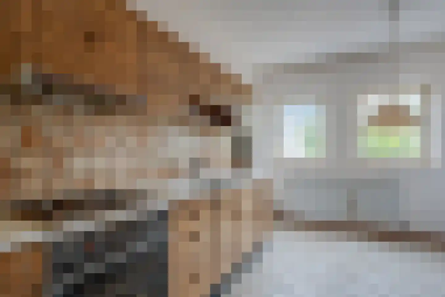 de Rippert 46 Holwierde thumbnail 30