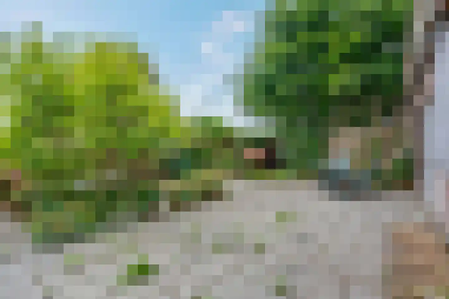 de Rippert 46 Holwierde thumbnail 46