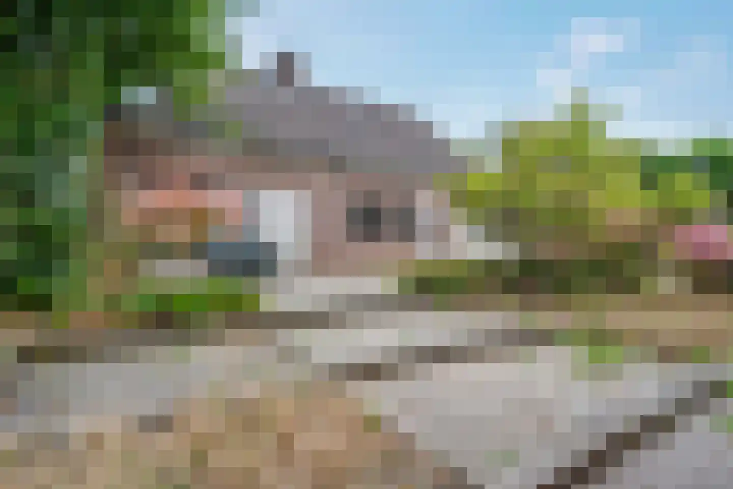 de Rippert 46 Holwierde thumbnail 50