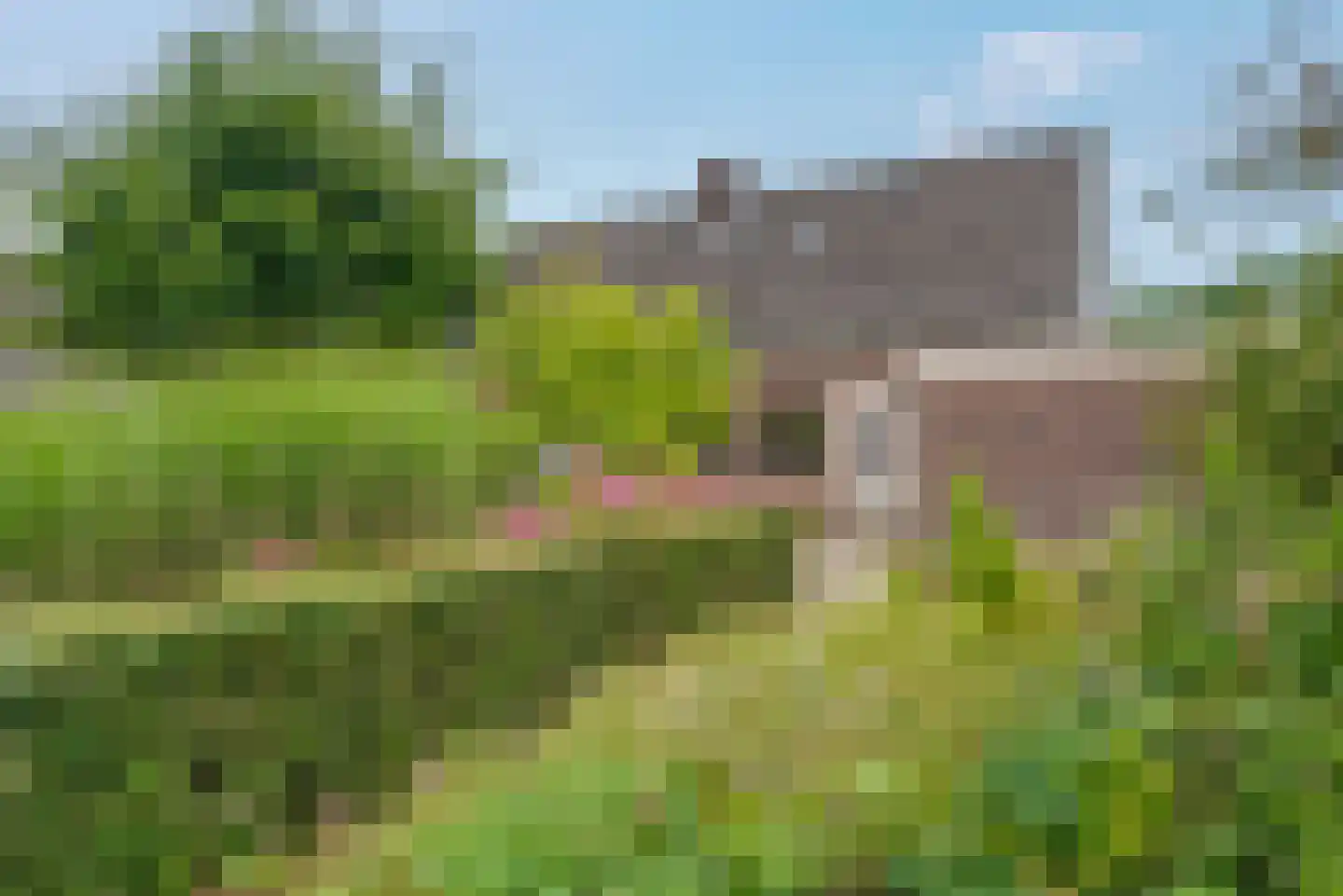 de Rippert 46 Holwierde thumbnail 54