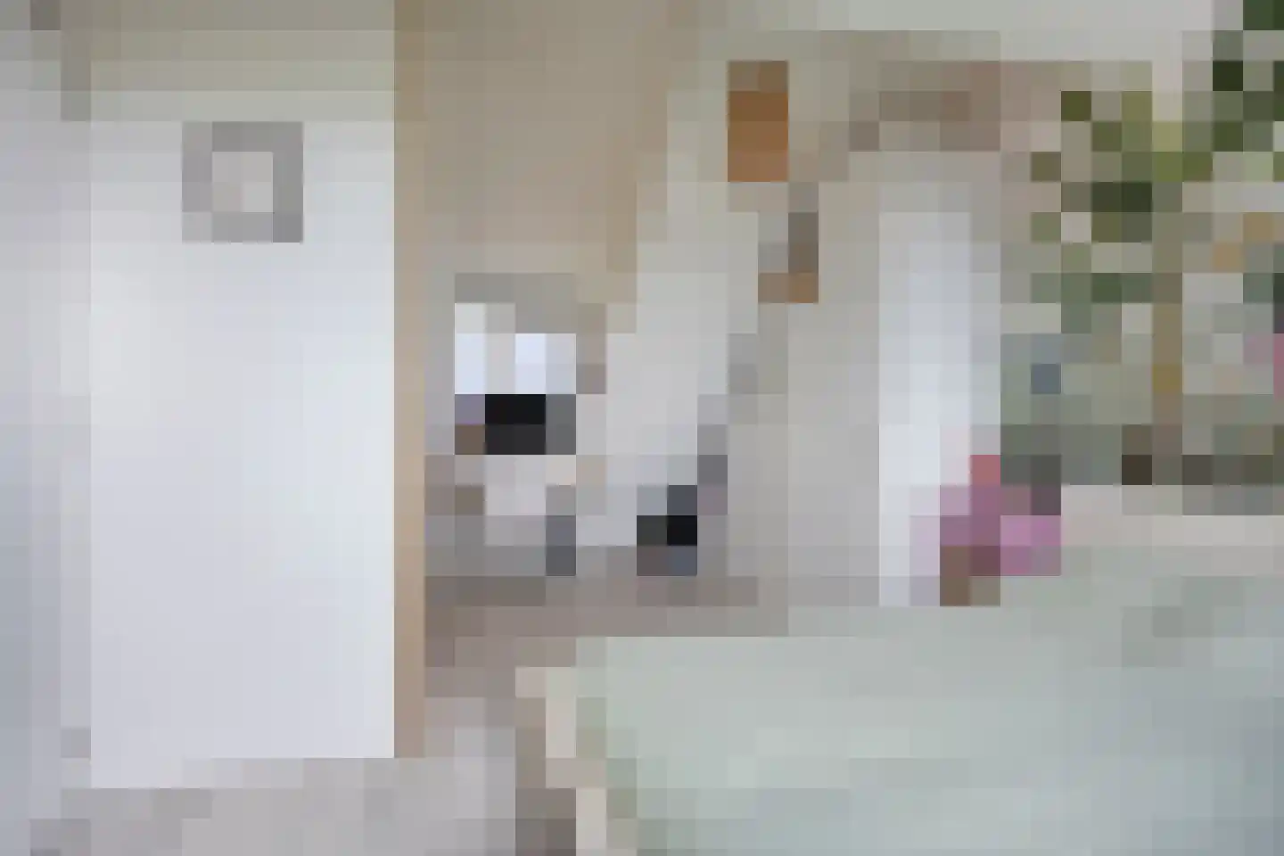De Ripse Schans 14 Rijpwetering thumbnail 16