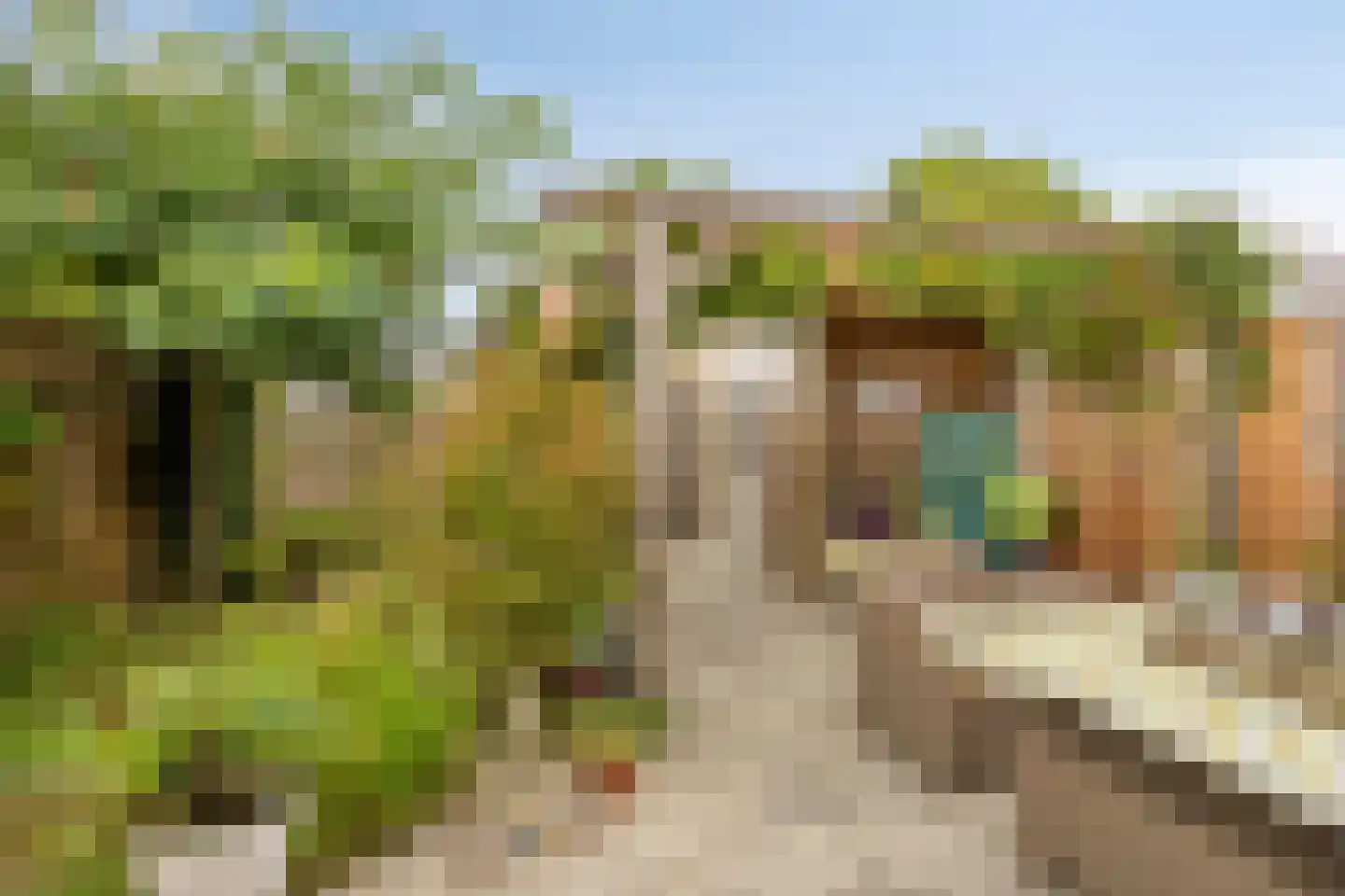 De Ripse Schans 14 Rijpwetering thumbnail 18