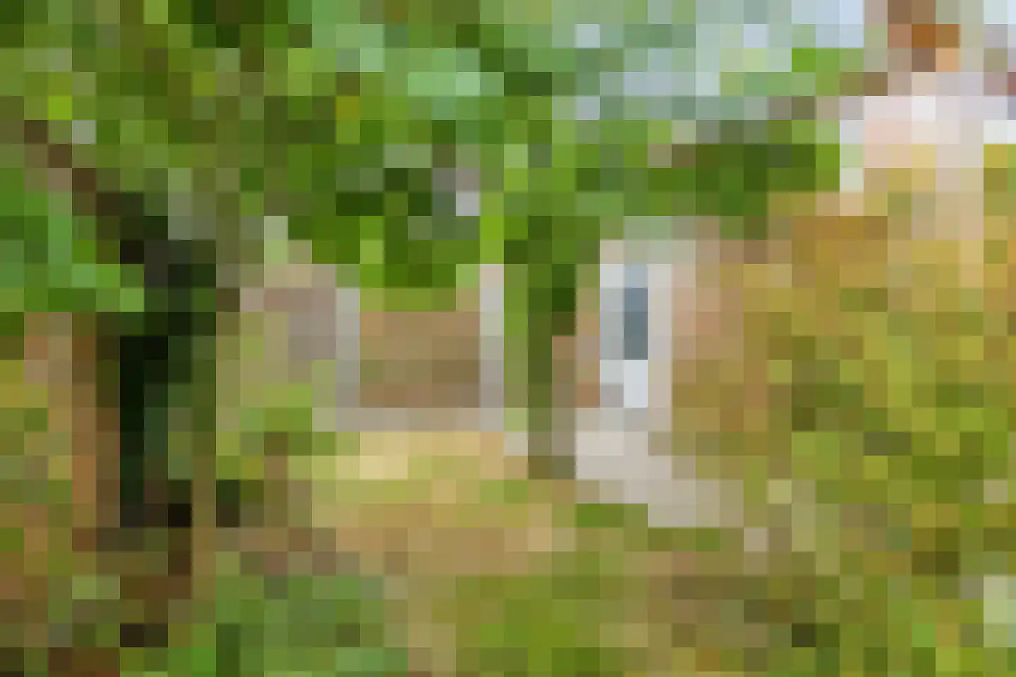 De Ripse Schans 14 Rijpwetering thumbnail 20