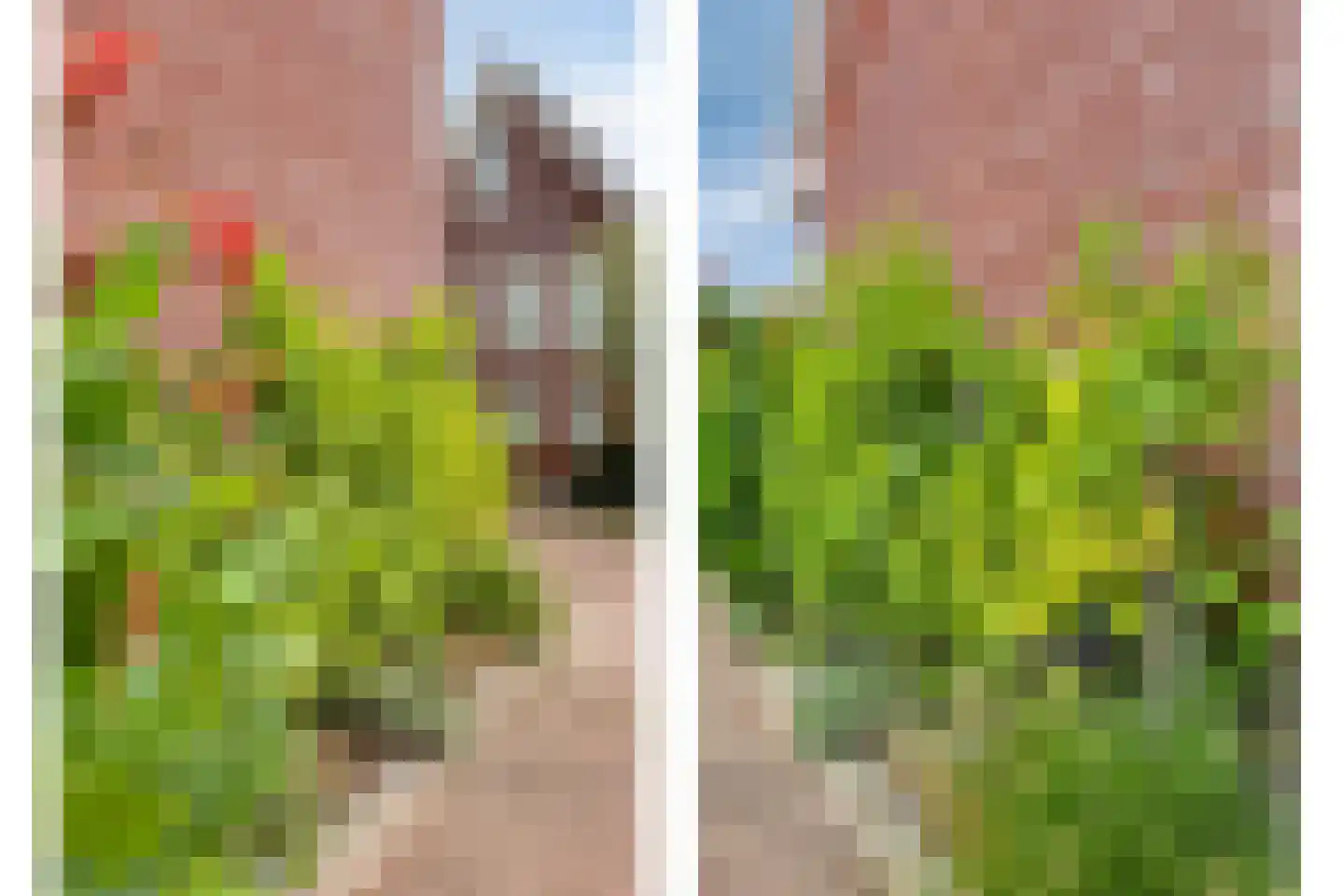 De Ripse Schans 14 Rijpwetering thumbnail 23