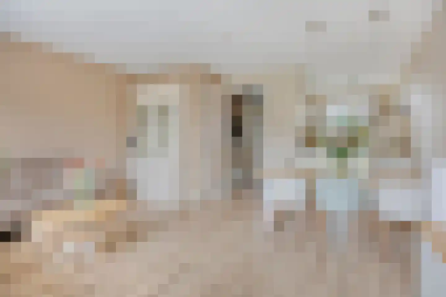 De Ripse Schans 14 Rijpwetering thumbnail 4