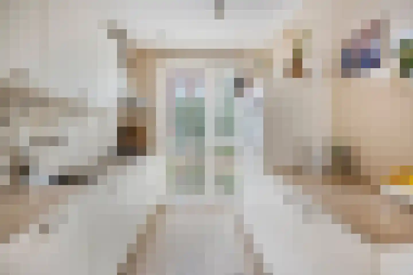 De Ripse Schans 14 Rijpwetering thumbnail 5