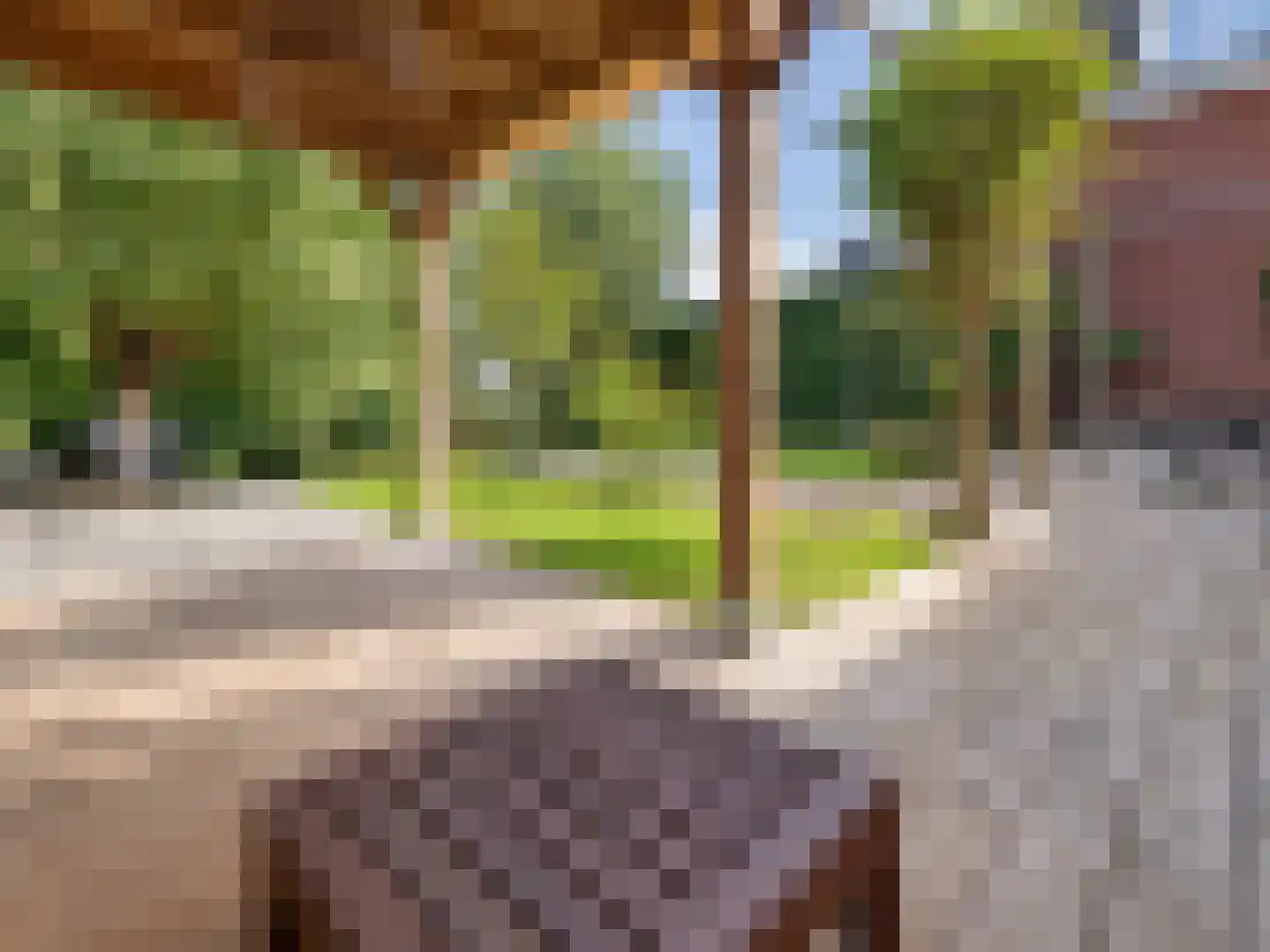 De Ripse Schans 3 Rijpwetering thumbnail 21