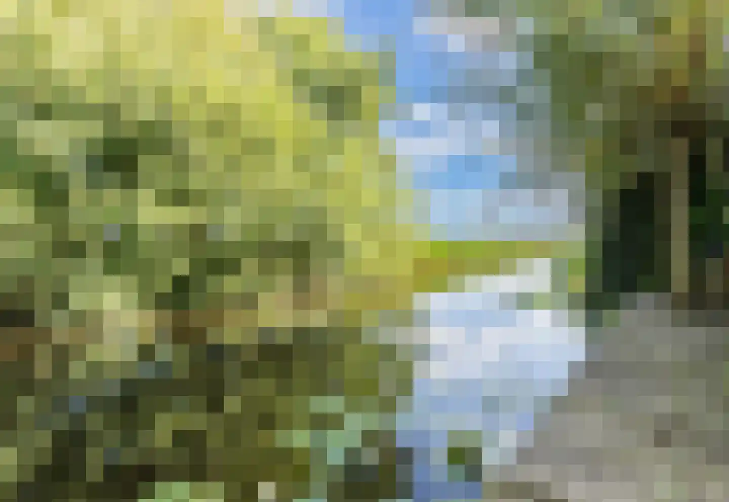 De Ripse Schans 3 Rijpwetering thumbnail 23