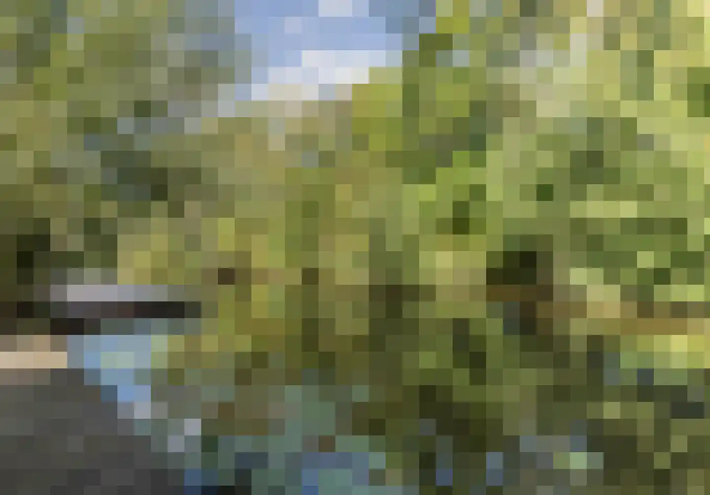 De Ripse Schans 3 Rijpwetering thumbnail 24