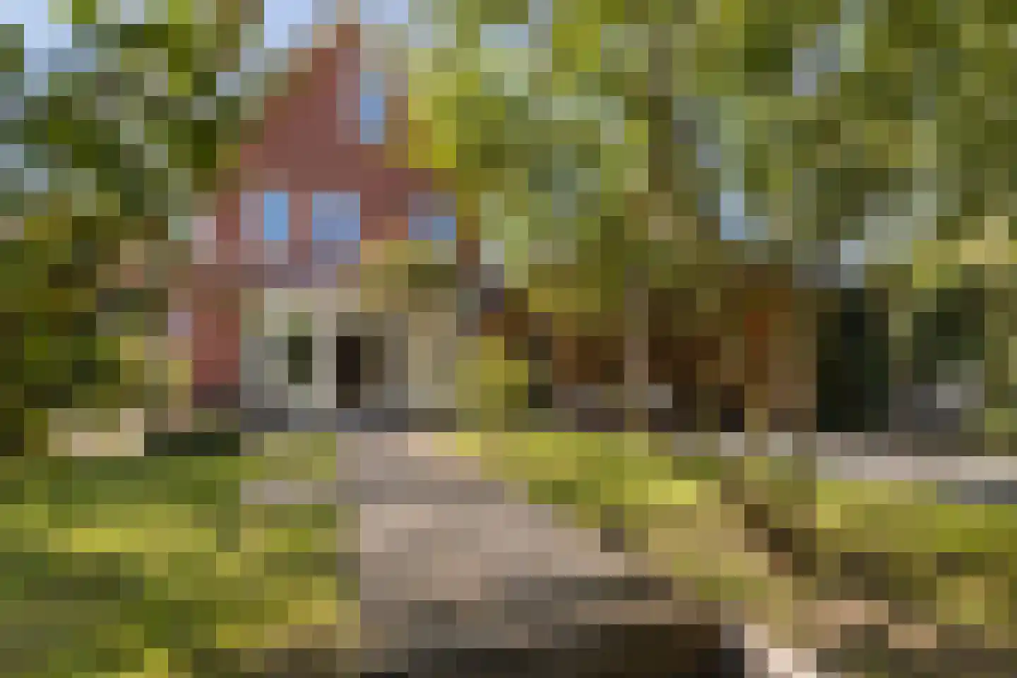 De Ripse Schans 3 Rijpwetering thumbnail 25