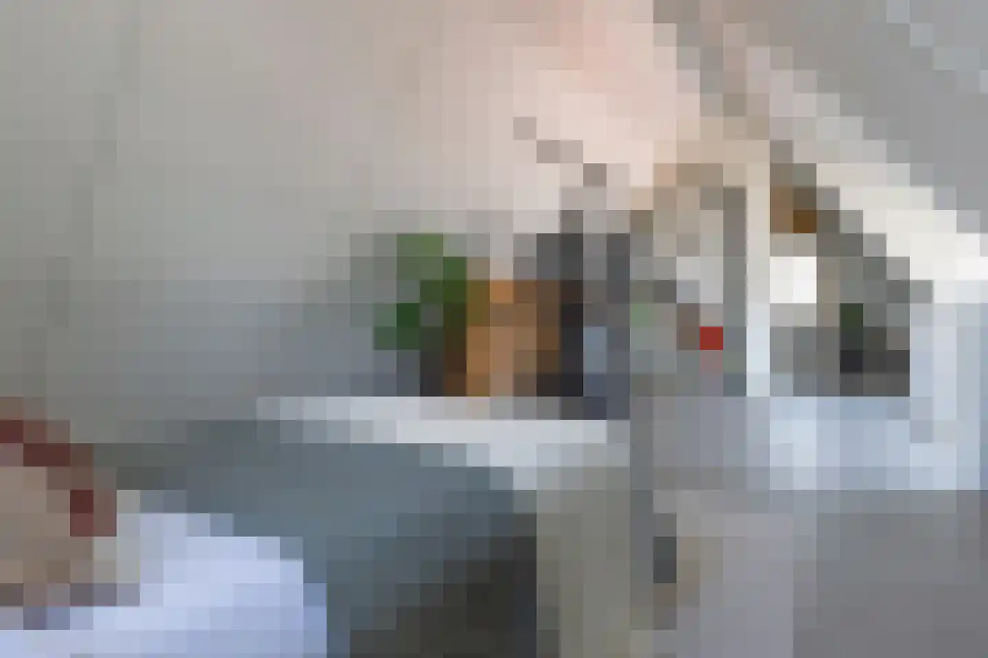 De Ripse Schans 3 Rijpwetering thumbnail 40