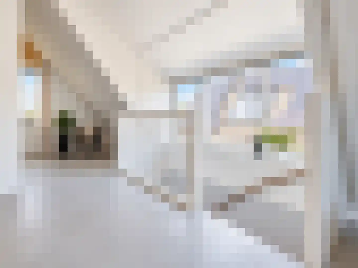 De Ripse Schans 3 Rijpwetering thumbnail 44