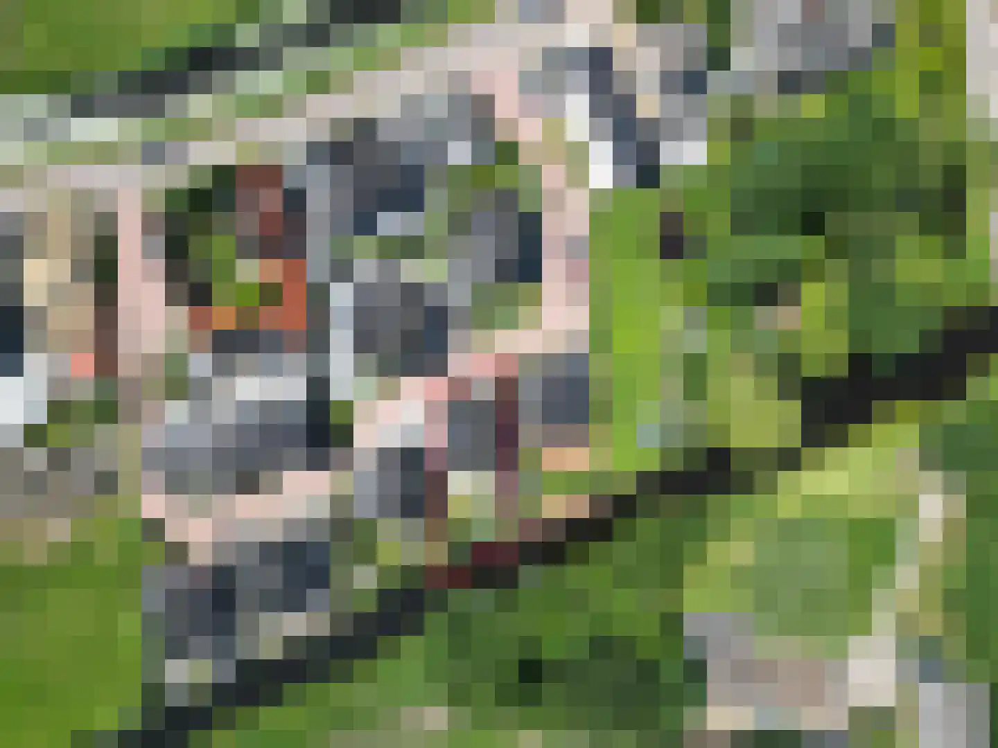 De Ripse Schans 3 Rijpwetering thumbnail 5