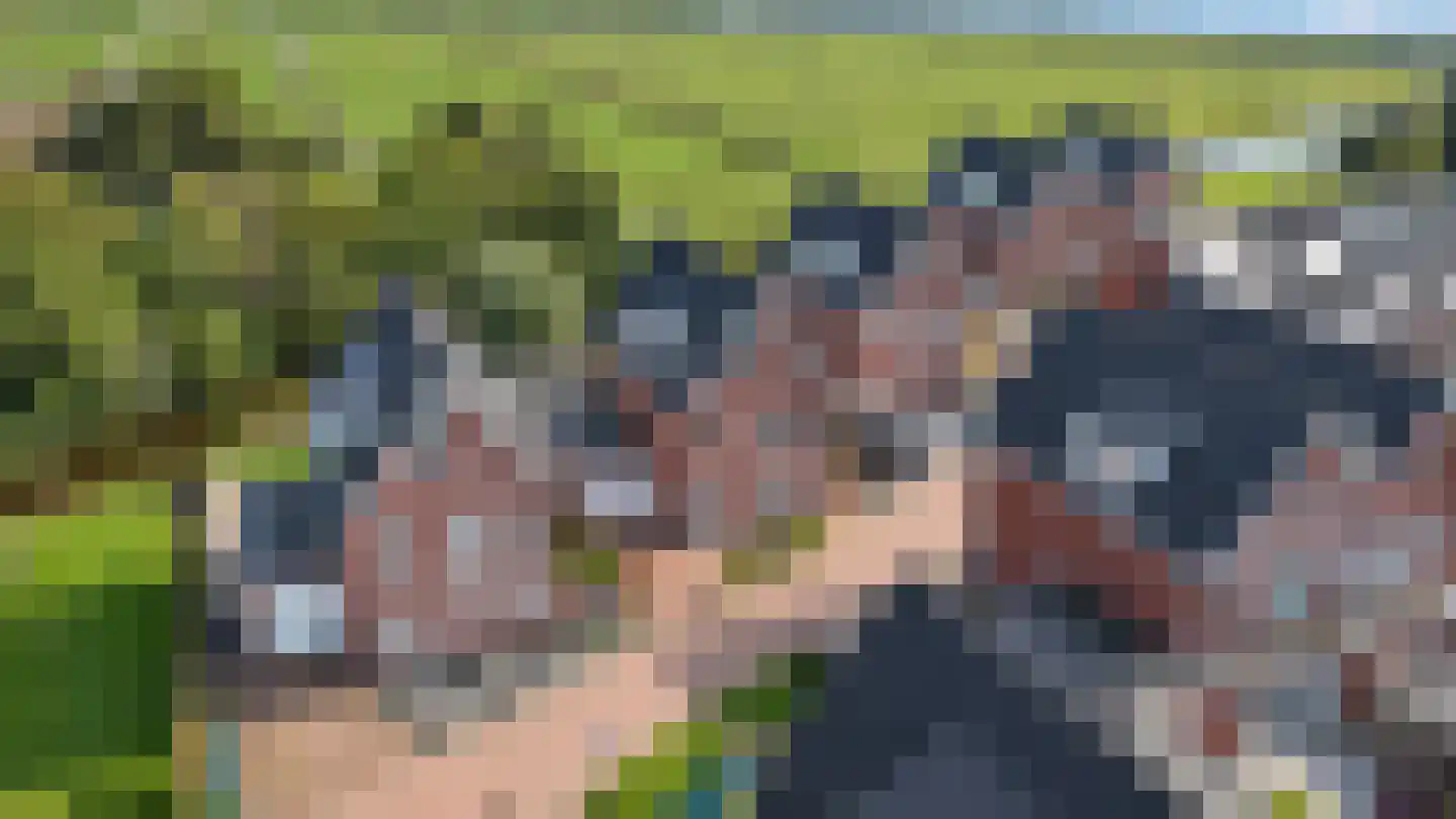 De Ripse Schans 3 Rijpwetering thumbnail 7