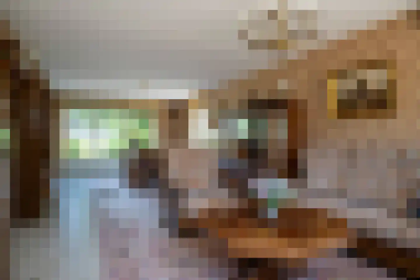 De Rits 1 Blokzijl thumbnail 12