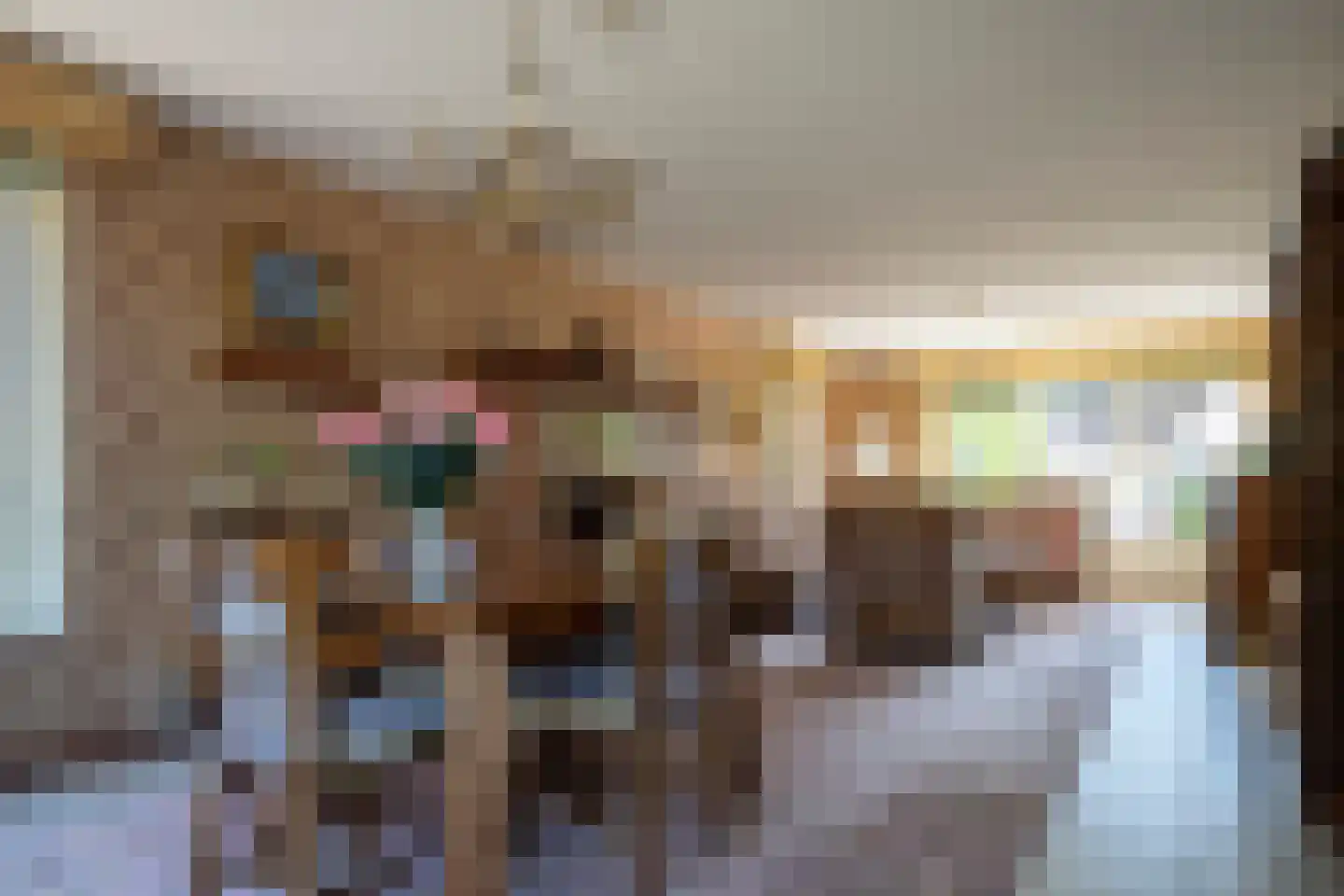 De Rits 1 Blokzijl thumbnail 13