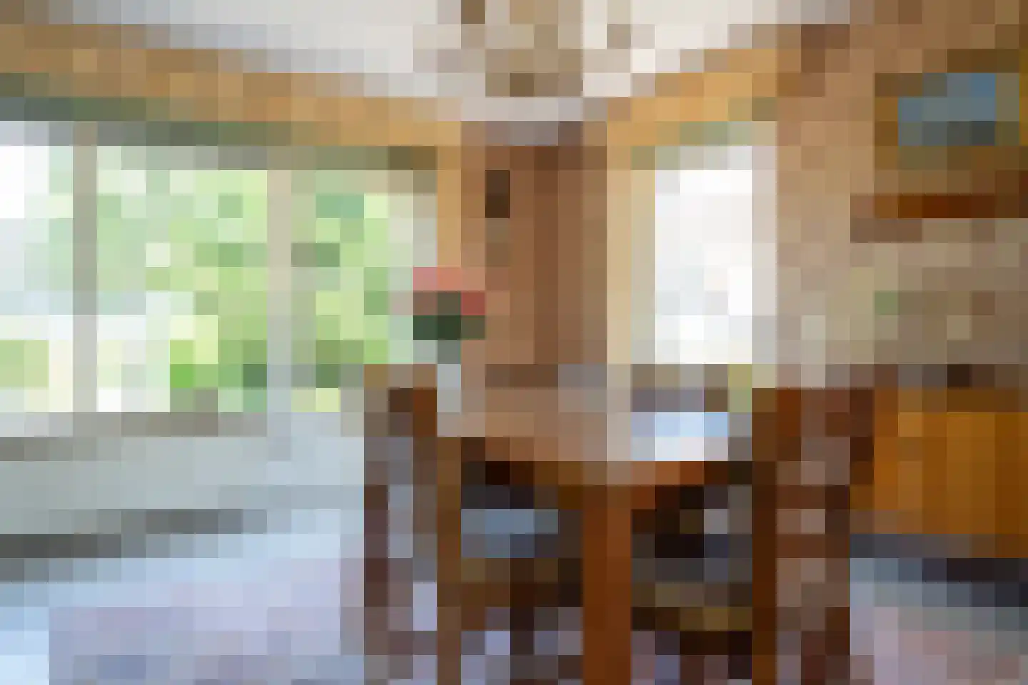 De Rits 1 Blokzijl thumbnail 14