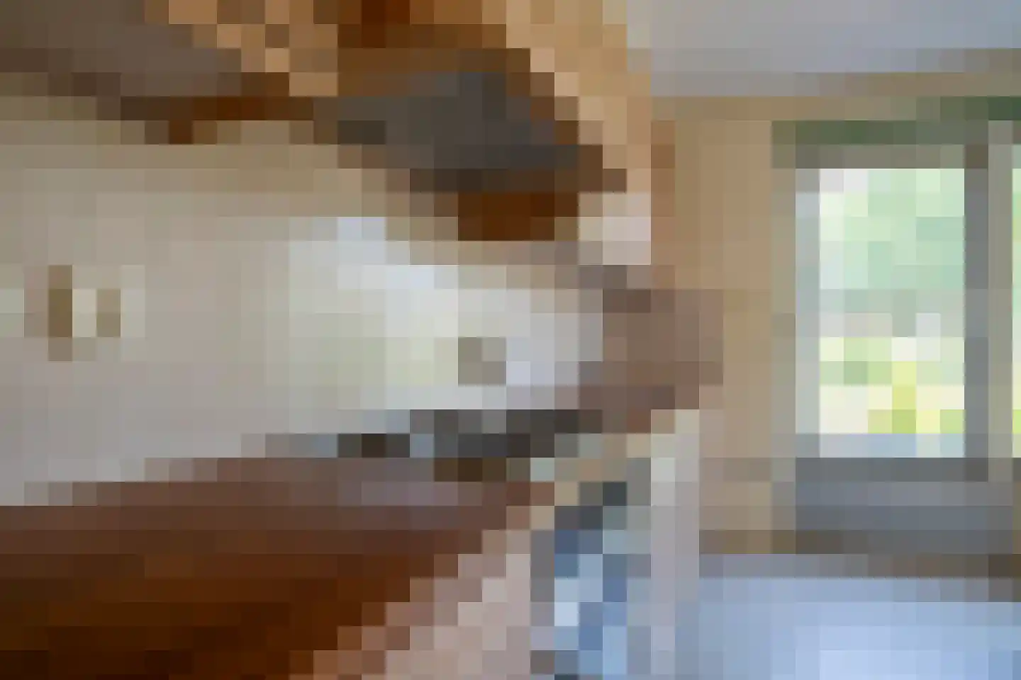 De Rits 1 Blokzijl thumbnail 17