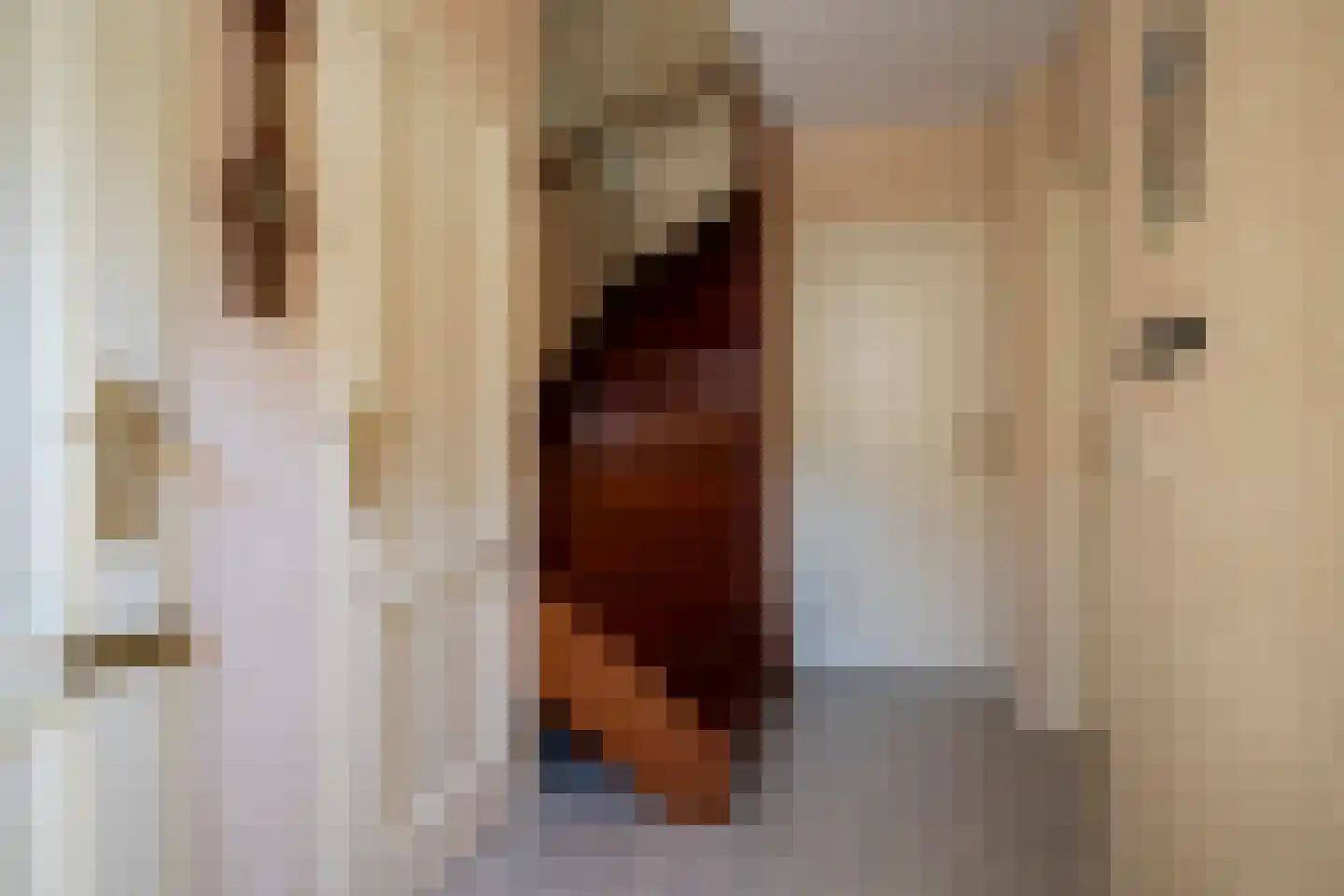 De Rits 1 Blokzijl thumbnail 32