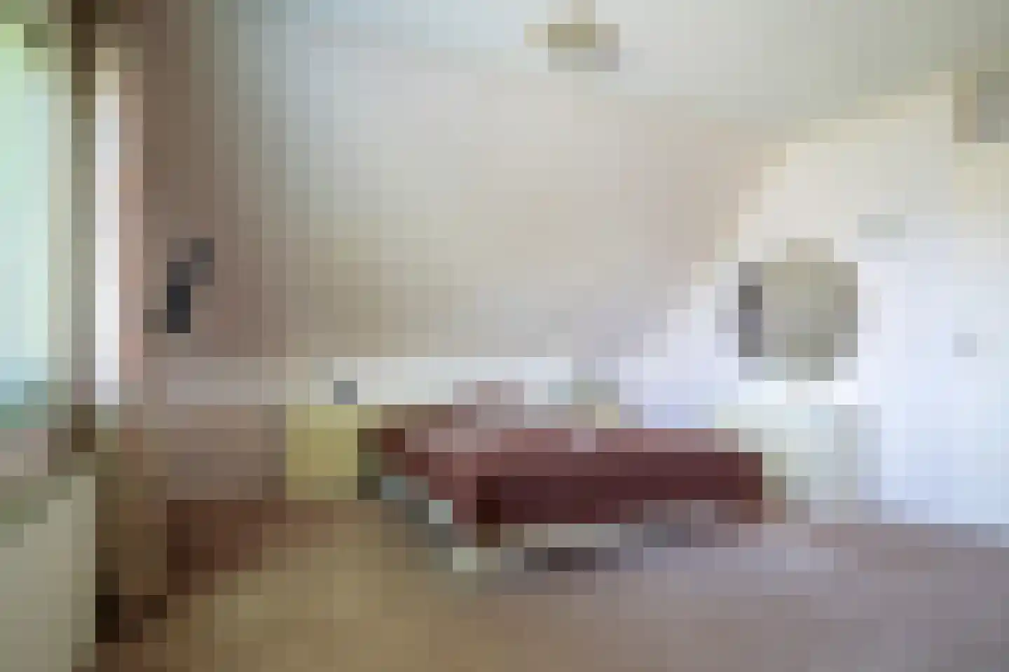 De Rits 1 Blokzijl thumbnail 33