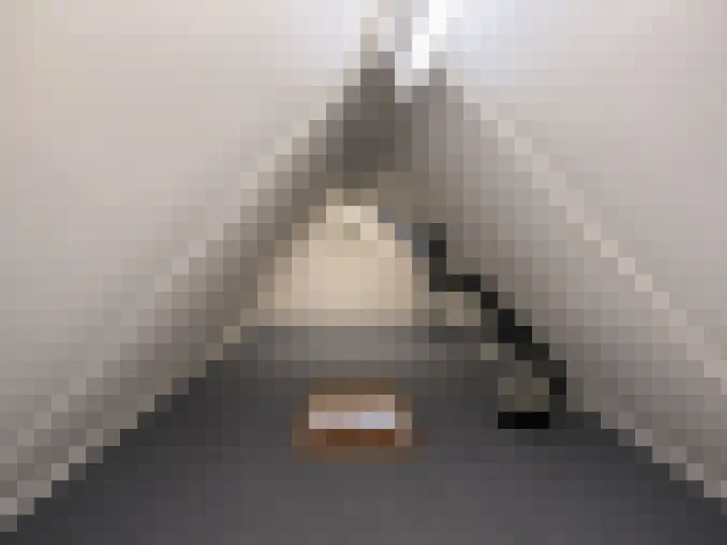 De Rits 1 Blokzijl thumbnail 41