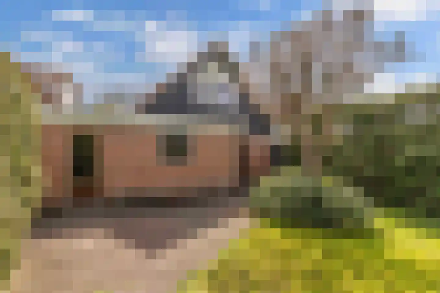 De Rival 10 Drachten thumbnail 28