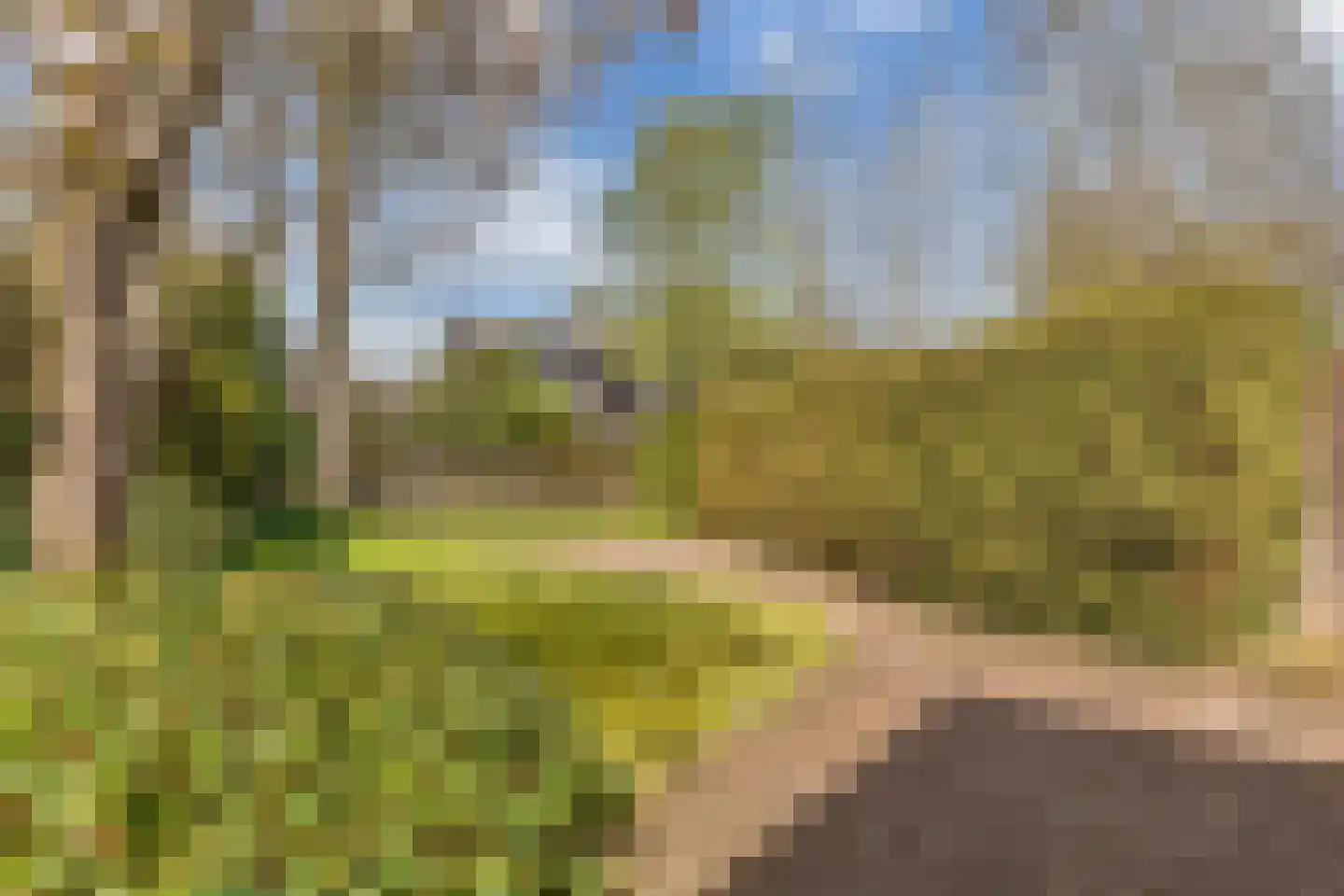 De Rival 10 Drachten thumbnail 29