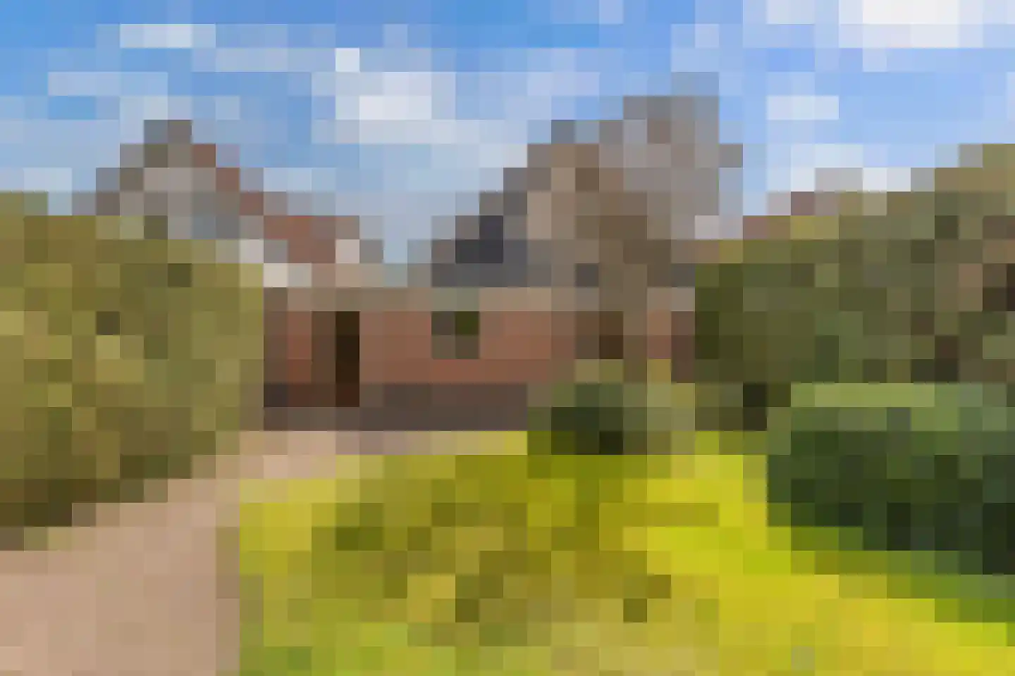 De Rival 10 Drachten thumbnail 31