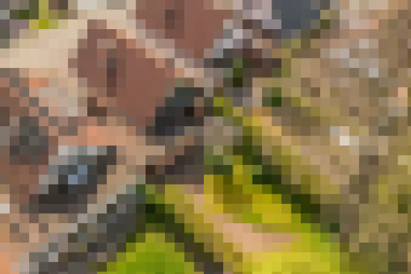 De Rival 10 Drachten thumbnail 32