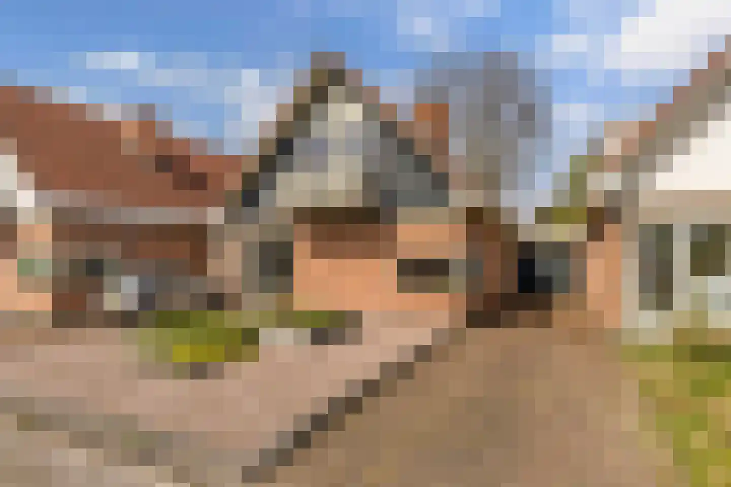De Rival 10 Drachten thumbnail 34