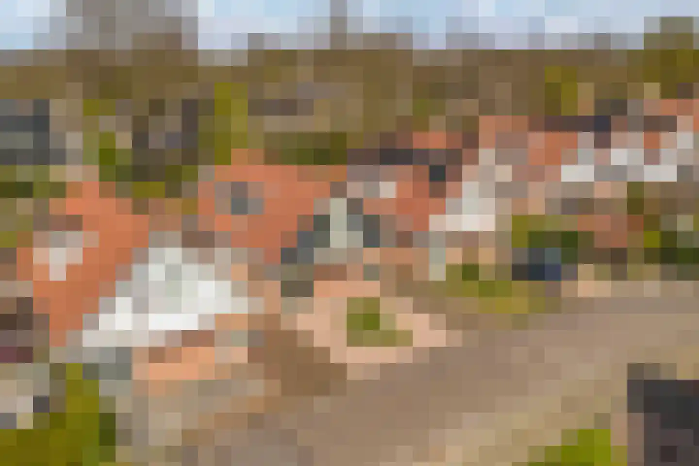 De Rival 10 Drachten thumbnail 36