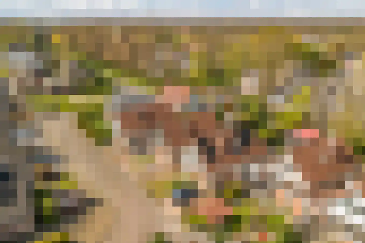 De Rival 10 Drachten thumbnail 37