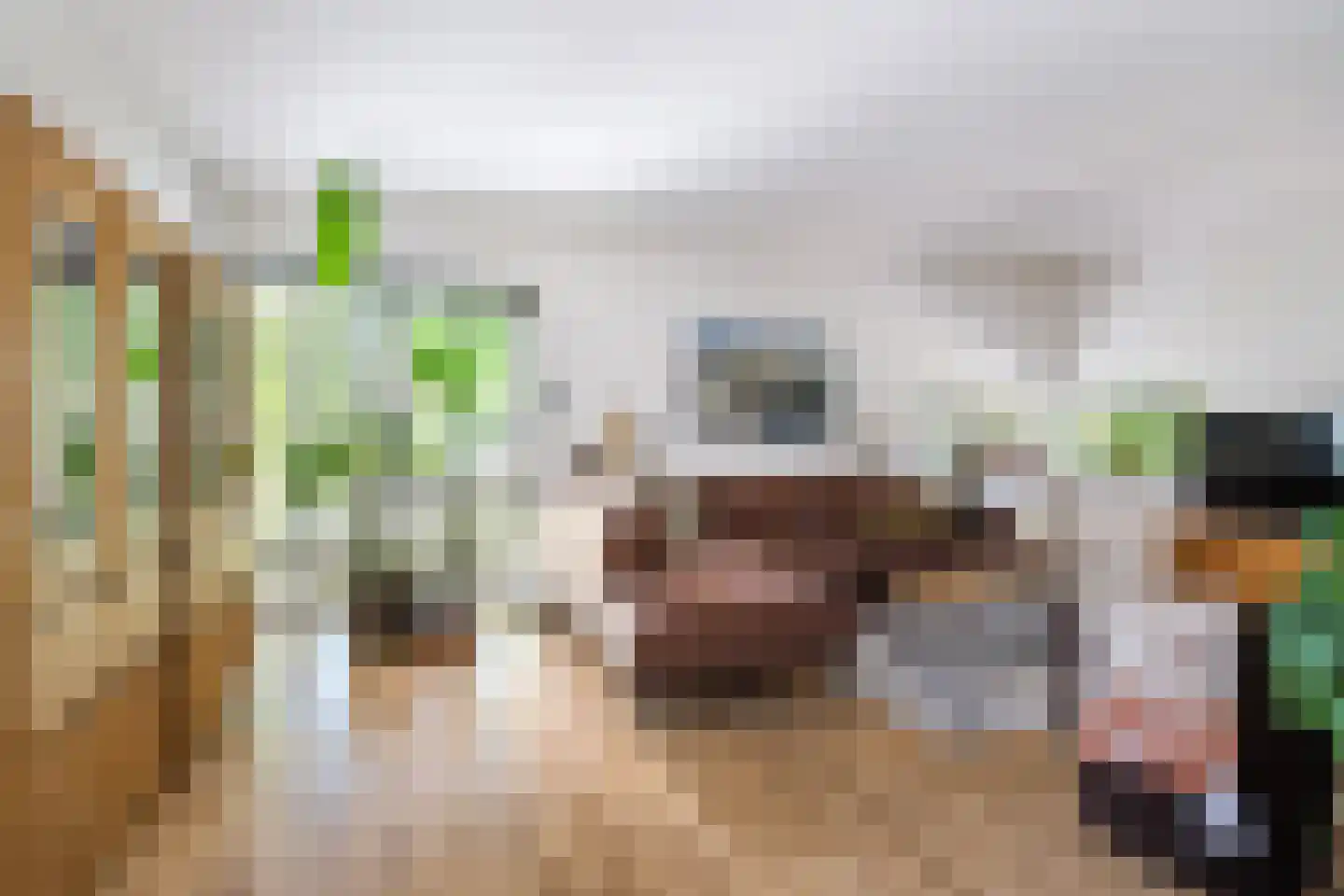 De Rival 16 Drachten thumbnail 13