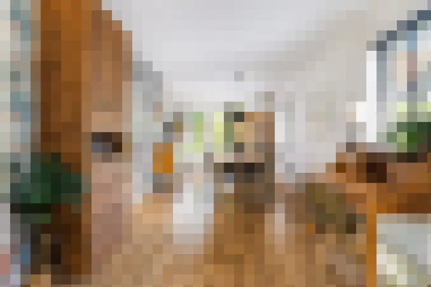 De Rival 16 Drachten thumbnail 16