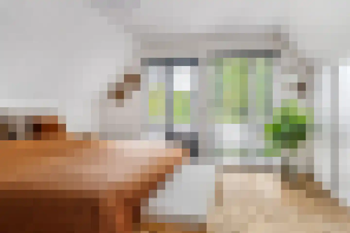 De Rival 16 Drachten thumbnail 26