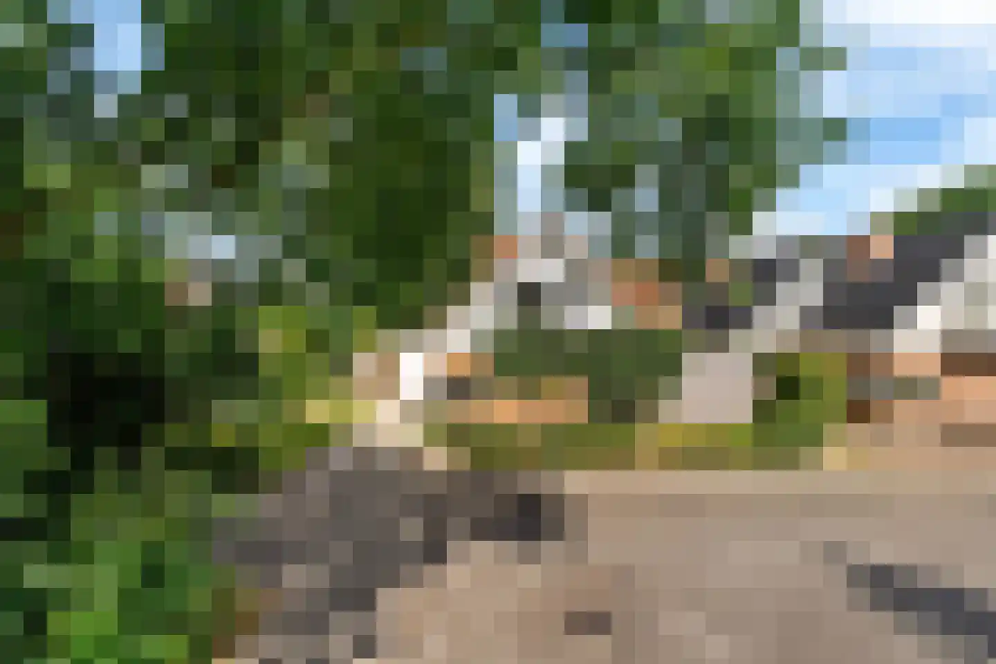De Rival 16 Drachten thumbnail 34