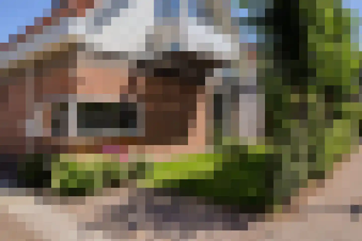 De Rival 16 Drachten thumbnail 36