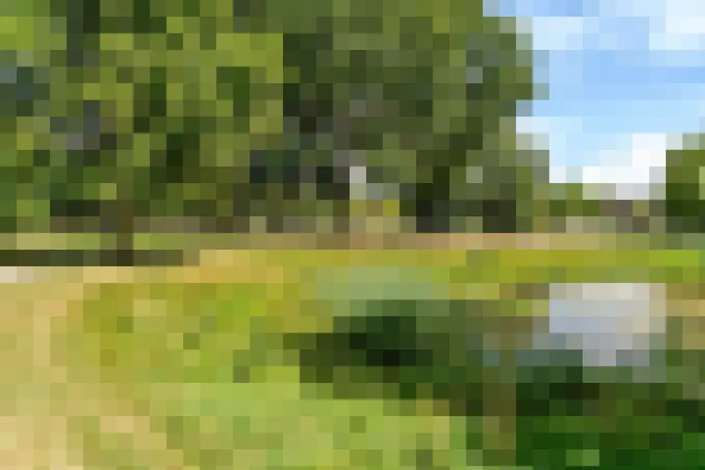De Rival 16 Drachten thumbnail 39