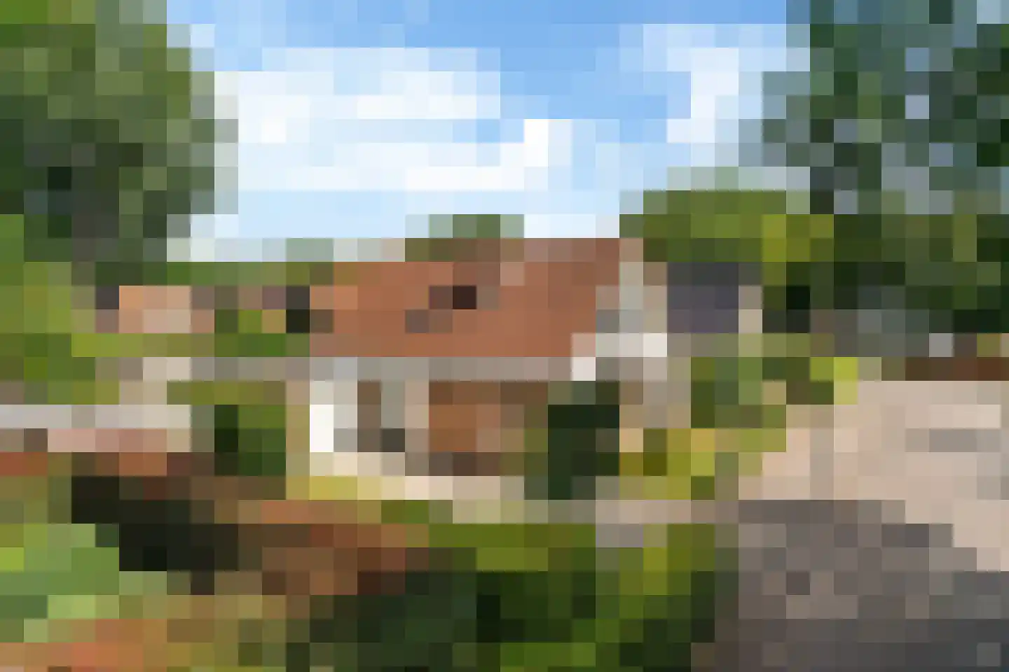 De Rival 16 Drachten thumbnail 4