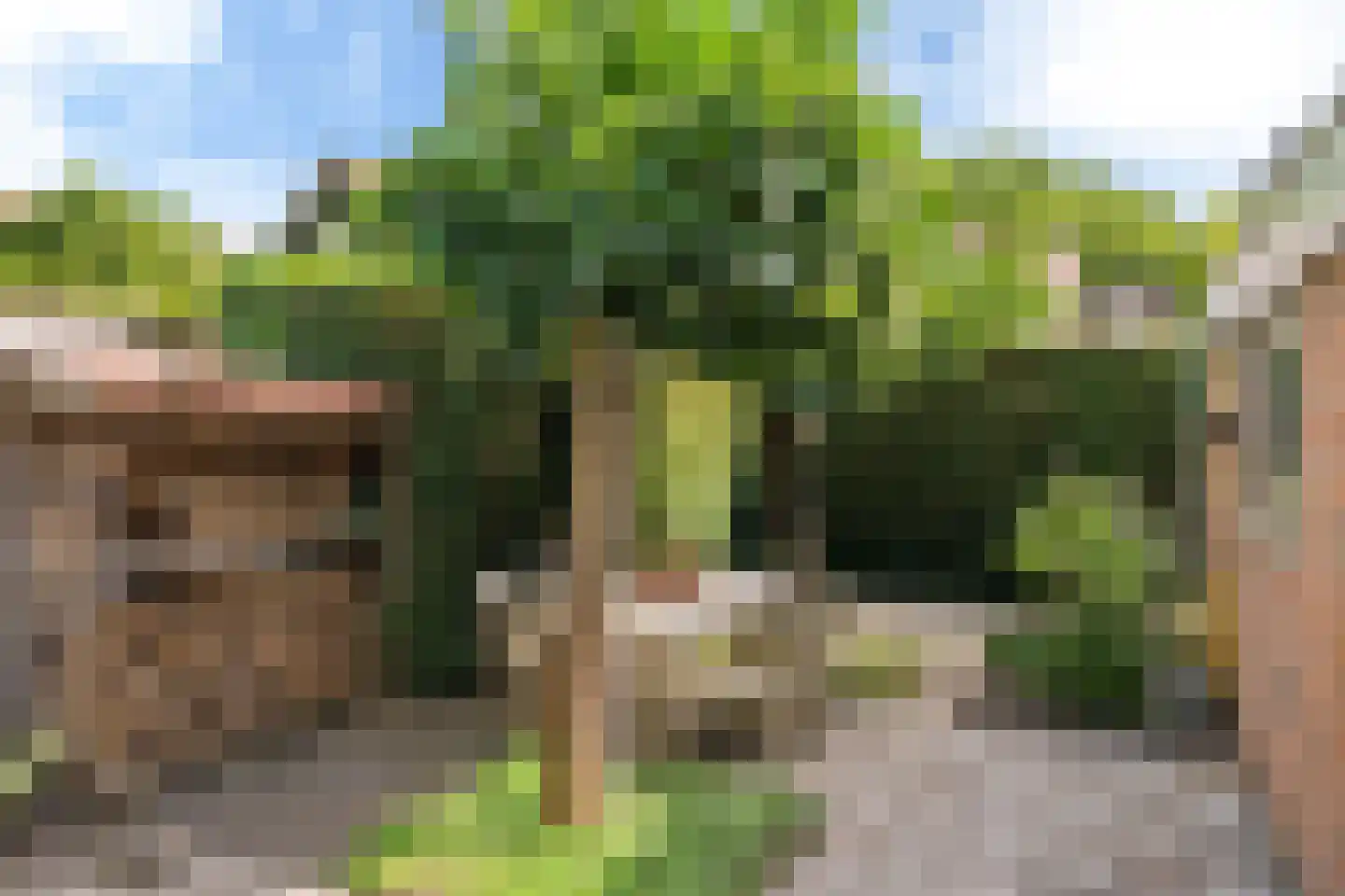 De Rival 16 Drachten thumbnail 42