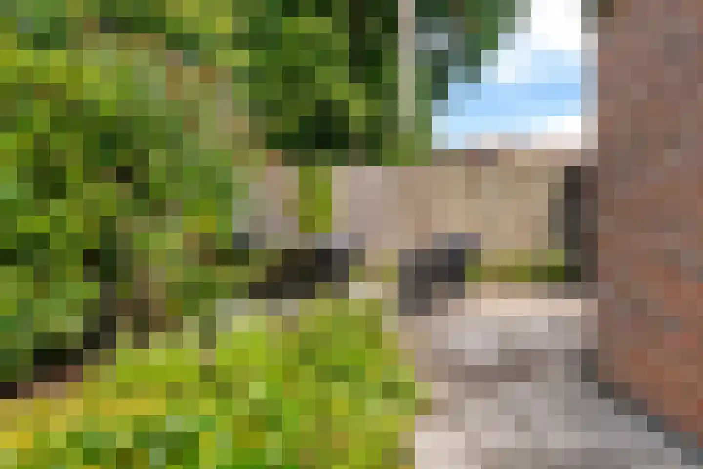 De Rival 16 Drachten thumbnail 46