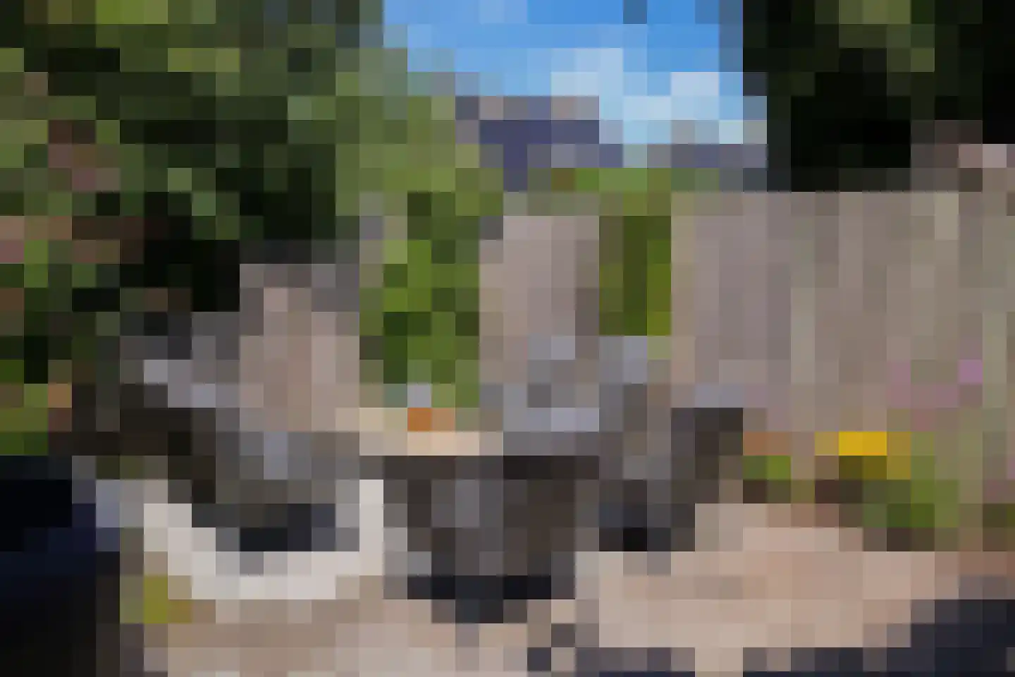 De Rival 16 Drachten thumbnail 47