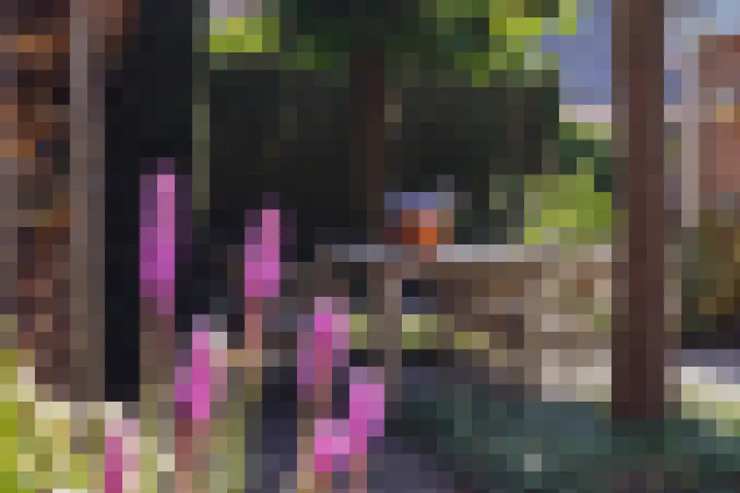 De Rival 16 Drachten thumbnail 48