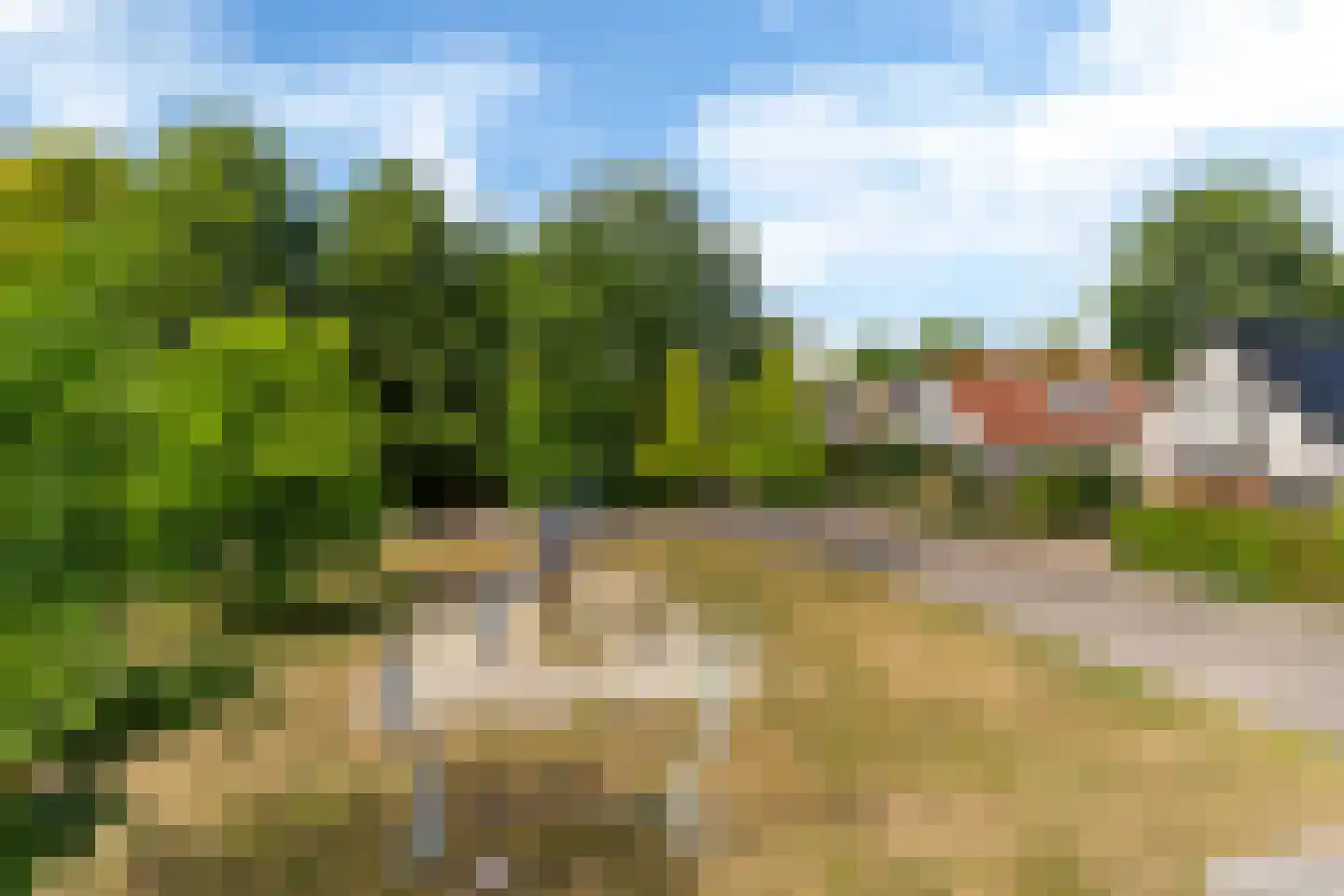 De Rival 16 Drachten thumbnail 7