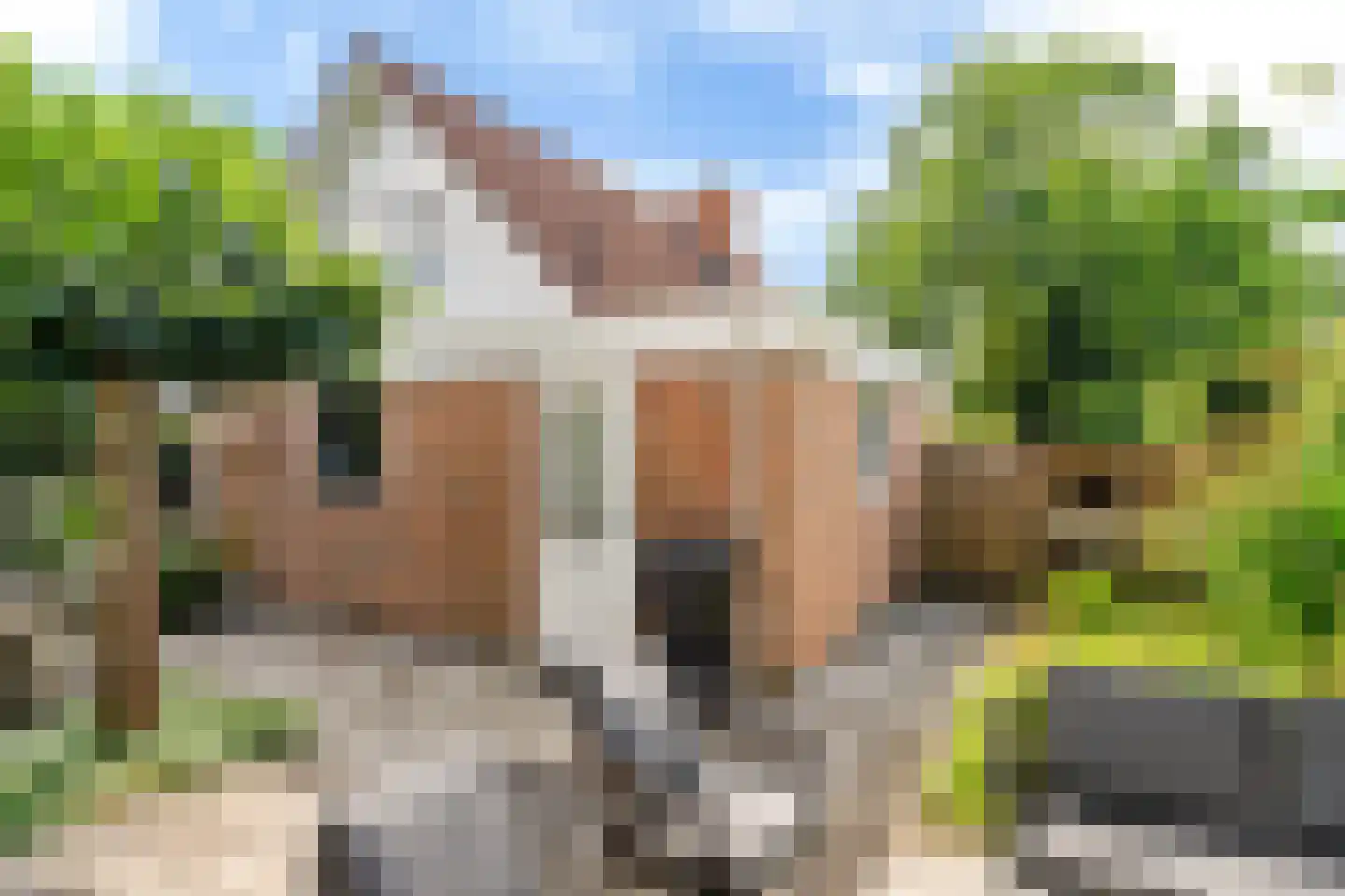 De Rival 16 Drachten thumbnail 8